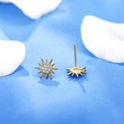 925 Sidabriniai ir 18K paauksuoti auskarai