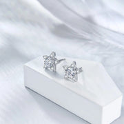 925 Sidabriniai auskarai